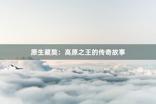 原生藏獒：高原之王的传奇故事