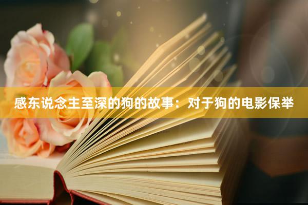 感东说念主至深的狗的故事：对于狗的电影保举