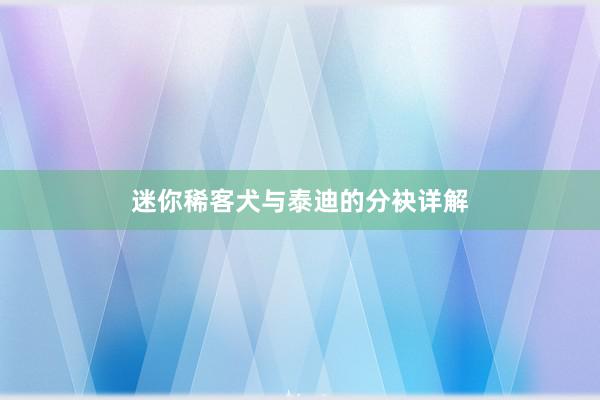 迷你稀客犬与泰迪的分袂详解